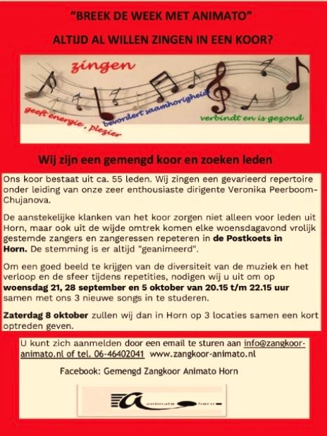 flyer ledenwerving